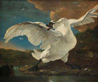 Jan Asselijn. Le cygne en danger (v. 1650)